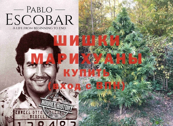 таблы Ельня