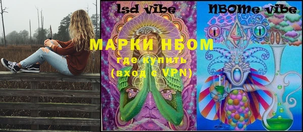 стаф Елизово